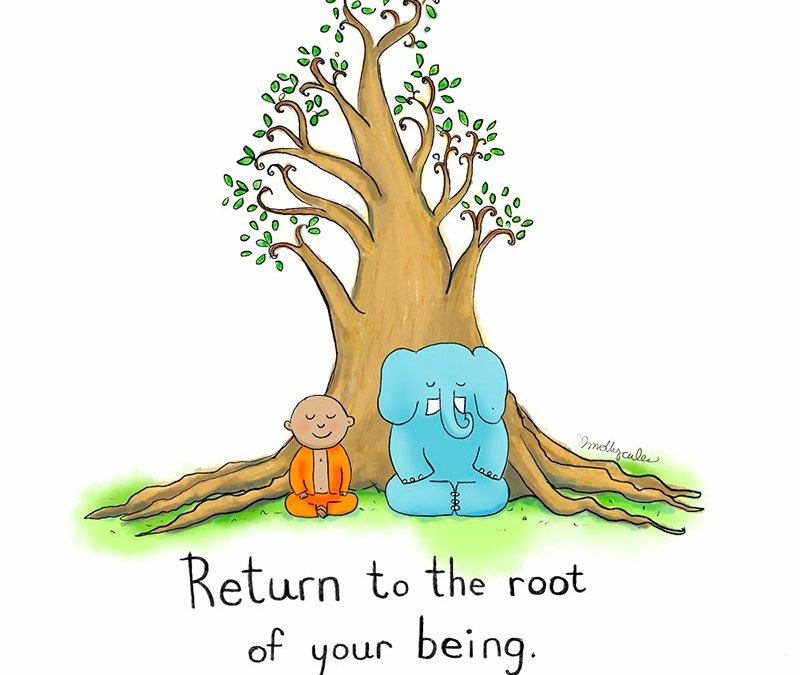记得适时回到你真正所是的内在根本！