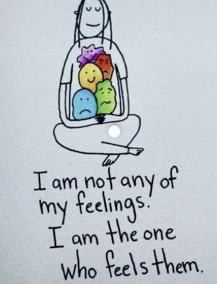 我不是我的感觉和情绪，我是感受这些感觉的存在！