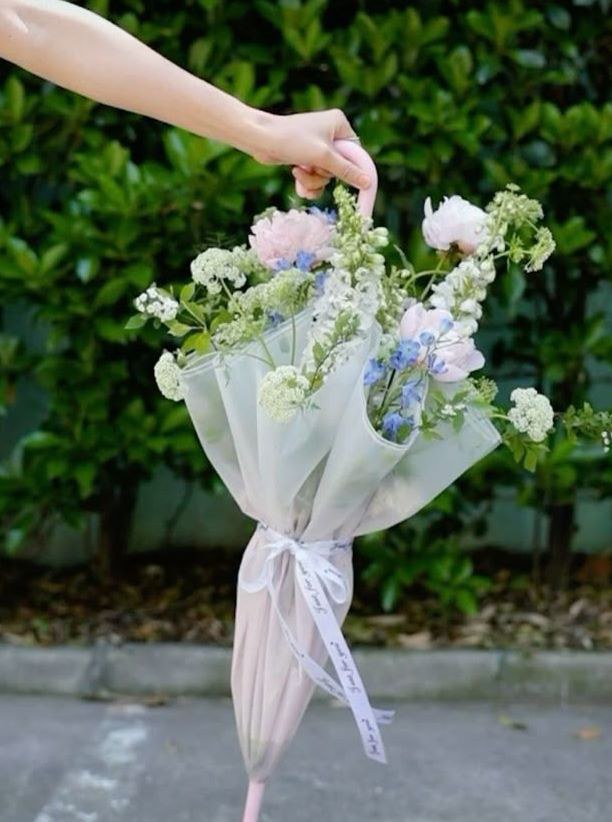 欣赏 · 对齐 · 冒险