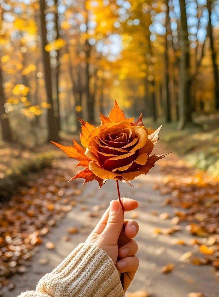 季节的脉动