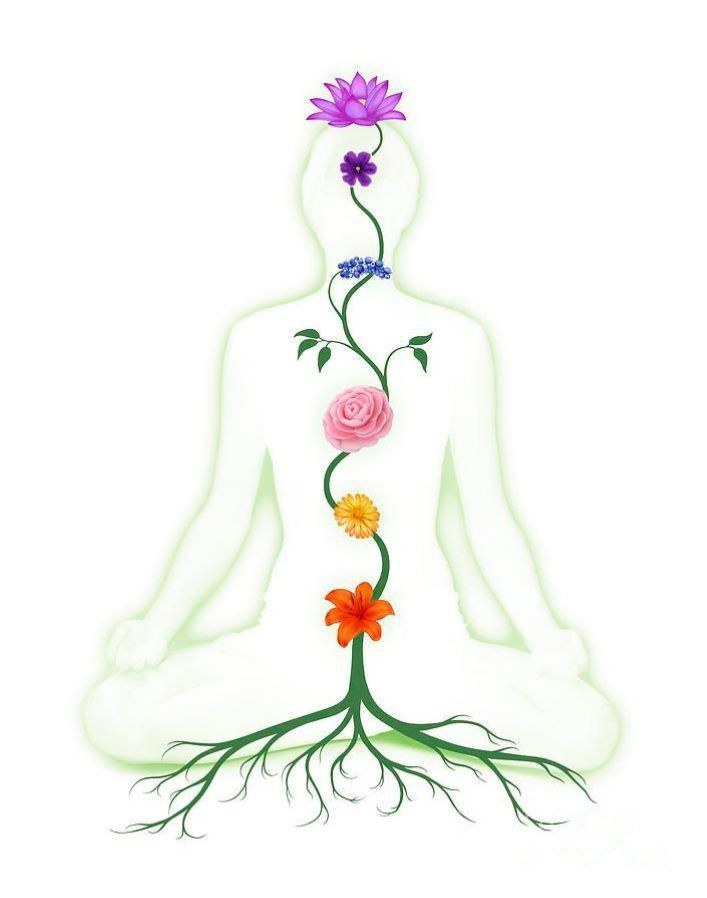 你是万有神圣源头，体验一切创造的伟大延伸！