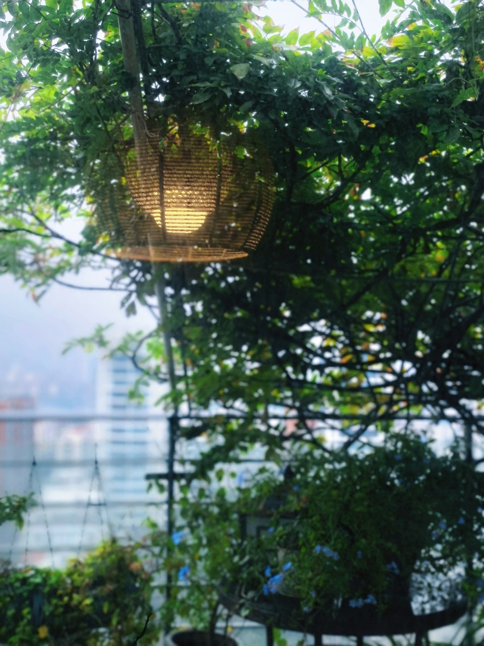平静的美