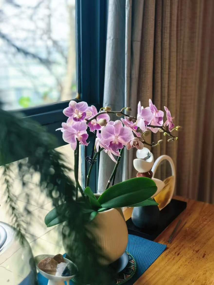 存在之美